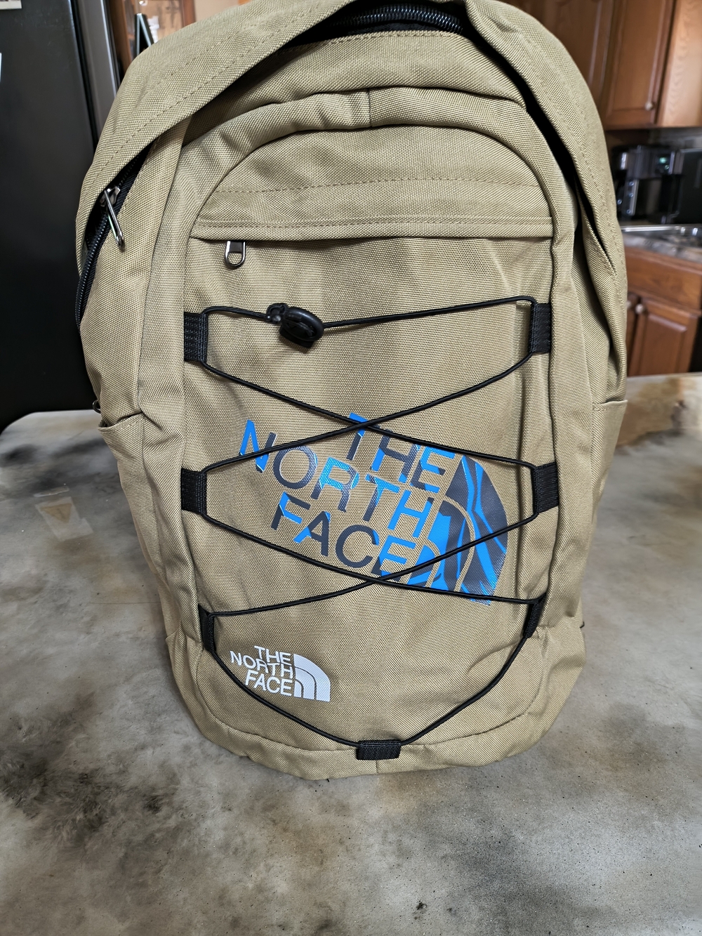 The North Face Khaki Backpack with Blue Logo